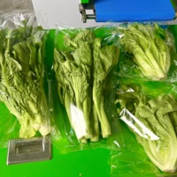 Servogetriebene automatische horizontale Kissenverpackungsmaschine für Lebensmittel, Obst und Gemüse mit Plastikbeuteln und Luftlochstanzung