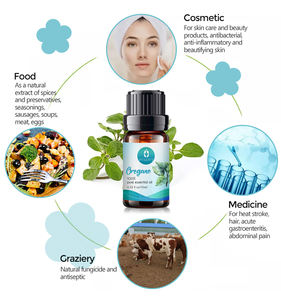 Proveedor Aceite de orégano Carvacrol Precio a granel Extracción 1kg de aceite esencial de orégano - Product Image 6