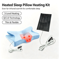 Kit de plaque chauffante flexible à infrarouge lointain avec contrôle de température à 3 niveaux, coussin chauffant USB QC3.0 pour personnalisation OEM ODM
