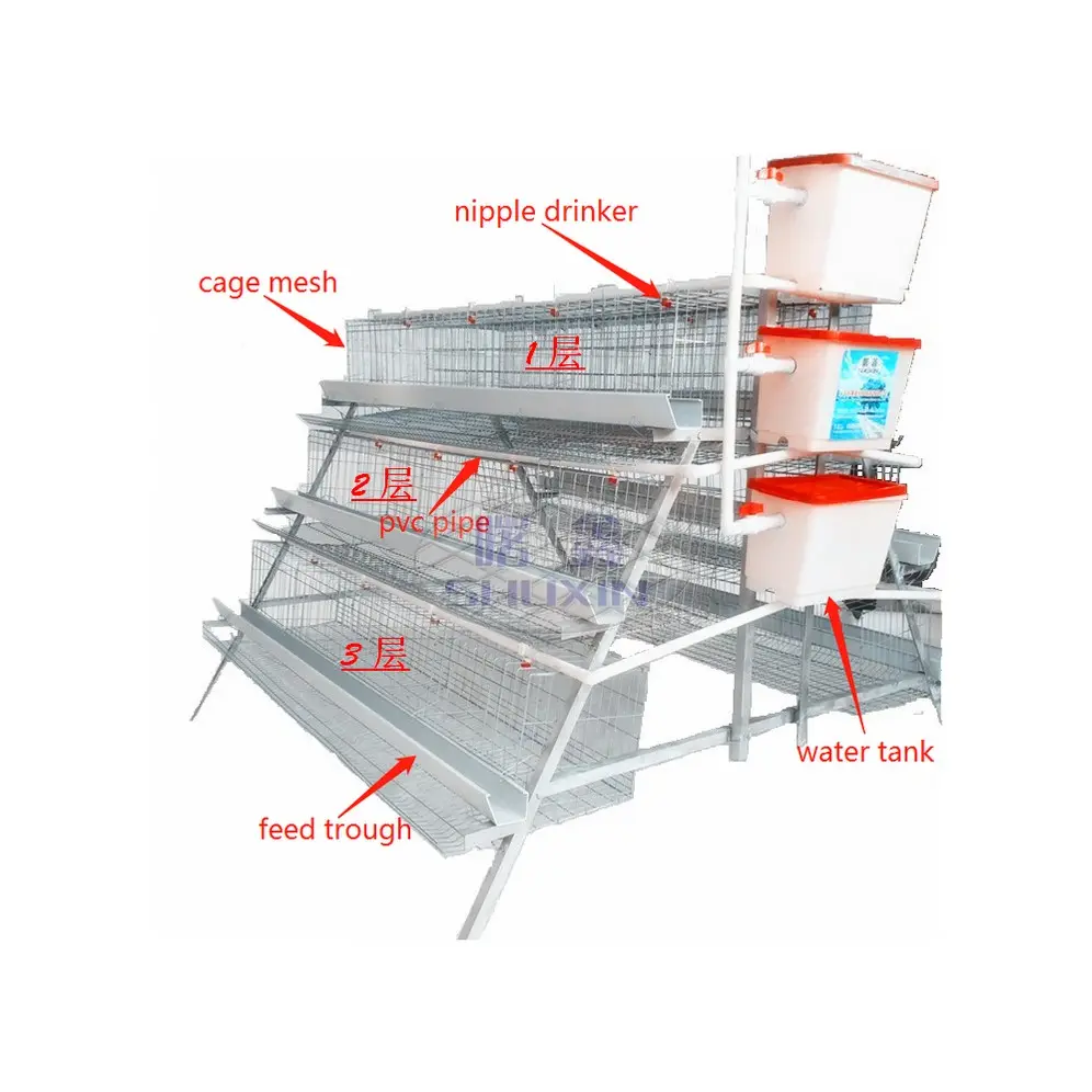 Cages de poulet de couche de production d'oeufs enduites de zinc lourd antirouille avec cage de batterie à 3 niveaux/4 niveaux pour ferme avicole