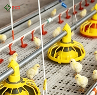 Équipement d'élevage de volailles pour fermes avicoles : Ligne d'alimentation et d'abreuvement pour poulets de chair