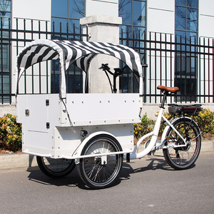 Bicicleta Eléctrica <span class=keywords><strong>de</strong></span> Carga con Puerta Frontal Abatible, Triciclo Eléctrico, Carro <span class=keywords><strong>de</strong></span> Carga <span class=keywords><strong>de</strong></span> 3 Ruedas para Familias <span class=keywords><strong>y</strong></span> Niños - Product Image 1