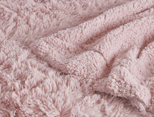 กุหลาบฝุ่น