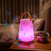 Lampu LED Ice Bucket Musik dengan Pendingin Botol, Speaker Musik, Lampu Malam, Lampu Camping LED untuk Pesta dan Acara