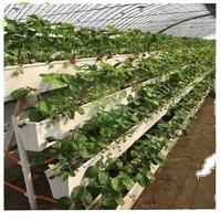 อุปกรณ์การเพาะปลูกนวัตกรรมการปลูกเมล็ดไฮโดรโพนิกทางการ<span class=keywords><strong>เกษตร</strong></span>โดยอัตโนมัติ - Product Image 6