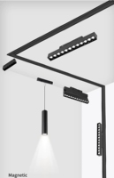 Système d'éclairage sur rail magnétique LED 20 mm - Options de grille linéaire, projecteur et COB certifiées CE ROHS CB