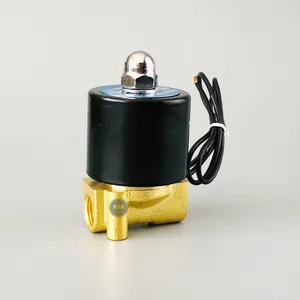 Válvula de agua de latón solenoide de acción directa de 2 W y 2 vías orificio pequeño de 2,5mm