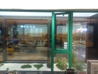 El proyecto de mayor gama en China: Ventanas de madera maciza con rotura de puente térmico y mosquitera plegable oculta, ventana de alta gama para el hogar.