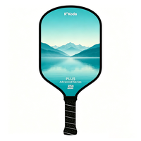 Raquette de pickleball personnalisée en gros, épaisseur 16 mm, surface en fibre de verre, noyau en nid d'abeille PP, design portable, équipement sportif d'entraînement
