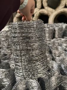 Bobine de fil barbelé en fer galvanisé à chaud, revêtement PVC, 100m 200m 300m 400m 500m, économique - Product Image 6