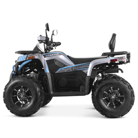 Quad Tao Motor 2025 chinois automatique avec marche arrière, transmission par chaîne, 250cc pour adultes, homologué EPA CE