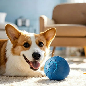 Nouveau jouet intelligent pour chien - Balle interactive rechargeable par USB, rebondissante automatiquement et évitant <span class=keywords><strong>les</strong></span> obstacles, pour chiens et <span class=keywords><strong>chats</strong></span> - Product Image 1