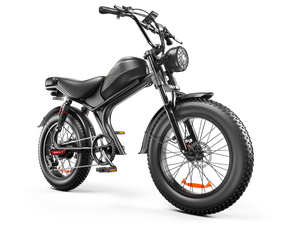 EU/USA kho mới 1000W 48V pin lithium dành cho người lớn điện thể thao leo núi Xe đạp điện Lốp Béo 20Ah Pin phanh đĩa 7 tốc độ - Product Image 3