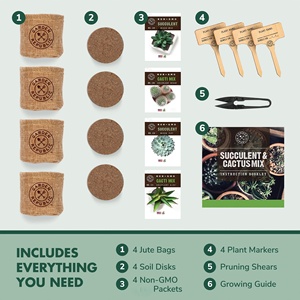 Kit di coltivazione fai da te all'ingrosso per la coltivazione di erbe regali di giardinaggio personalizzati Mini Kit da giardino al coperto <span class=keywords><strong>Cactus</strong></span> e piante succulente - Product Image 6
