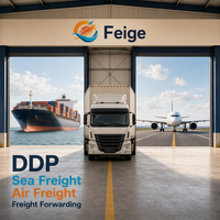 Agent maritime international professionnel pour l'expédition par voie maritime de la Chine vers le Canada, les États-Unis, service DDP mondial porte-à-porte, transitaire