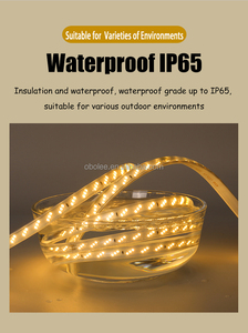 220V High Voltage Wireless <b>LED</b> <b>Strip</b> <b>Light</b> Outdoor <b>Waterproof</b> Ultra Bright Double Row Slanted Triple Row Flexible Tape <b>Light</b> - Product Image 2