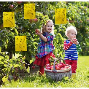 फैक्टरी थोक अनुकूलन चिपचिपा फल मक्खी जाल जाल जाल जाल गोंद लटकाने वाले कीट नियंत्रण कीट नियंत्रण के लिए हमारे लिए - Product Image 1