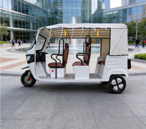OEM ODM Factory TukTuk Open Body 6 Seats India Taxi Tricycle E <strong>trike</strong> Best Price EEC - Product Image 6