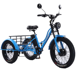 Nouveau tricycle électrique à 3 roues pour personnes âgées, <span class=keywords><strong>2</strong></span> places, moteur avant 750W, batterie lithium, 7 vitesses, pneus larges - Product Image 1