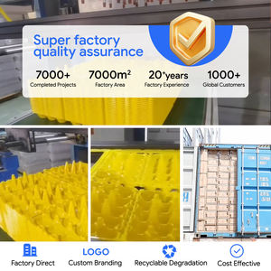 Customized 15-Hole Yellow Recycled Materials Folding Egg <b>Tray</b> Supermarket Disposable PET <b>Plastic</b> Packaging Transparent Lid - Product Image 5
