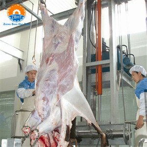 ZBHT Vente Chaude Ligne d'abattage automatique de bovins Machine d'abattage de vaches Équipement de <span class=keywords><strong>boucherie</strong></span> en acier inoxydable - Product Image 4