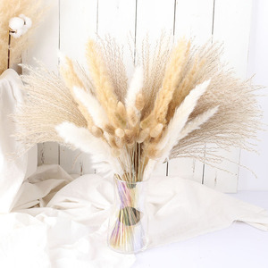 Ramo de Flores Secas de Pampas Naturales, Hierba de Pampas Seca para Decoración de Fiestas - Product Image 1