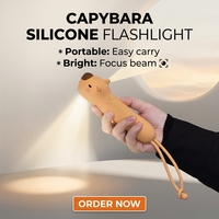 Lampe de lecture LED personnalisée en silicone USB, motif Capybara mignon, pour extérieur, mini-animaux, cadeau pour bébé et enfant, veilleuse suspendue, vente en gros