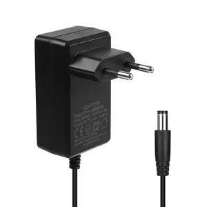 China Factory 9V Power Adapter 2.4V 100Ma