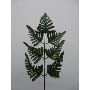 PACCHETTO FERN X7 53CM GR - Product Image 1