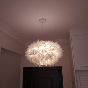 Iluminación colgante de lujo Loft cocina comedor candelabro 2022 gran oferta contemporáneo nórdico nuevo diseño Led pluma dormitorio <span class=keywords><strong>90</strong></span> - Product Image 3