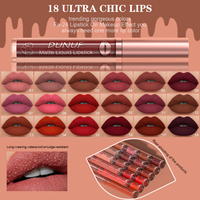 Ensemble de 12 rouges à lèvres liquides mats effet velours, rouge foncé, brun, kit de gloss à lèvres, imperméable, hydratant, huile à lèvres transparente