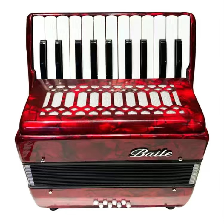 22-key 8 Bass Beginner Accordion for Sale - ABS Material