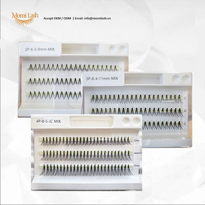 Extensión de pestañas postizas de estilo Natural hecha a mano profesional, pestañas de racimo unidas por calor suaves individuales de 0,07mm - Product Image 2