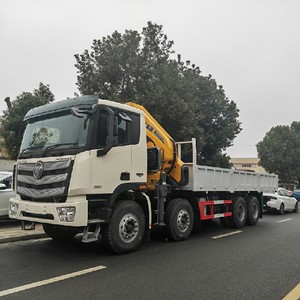 Camion-grue Foton 8x4 30 tonnes Diesel Neuf avec grue à flèche hydraulique à bras articulé manuel - Product Image 1