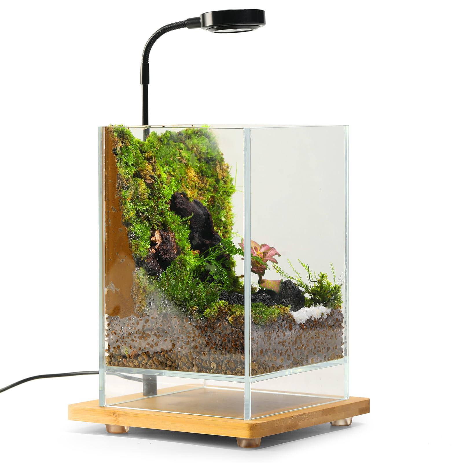 Desktop Glass Succulent Moss Terrarium for Indoor Plant Growth Miniature  Gardening Landscape Betta Fish Tank 5.9in Length 5.9in| Alibaba.com
