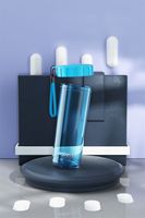 Bouteille d'eau en plastique PC PP de 13 oz, à boire directement, compatible lave-vaisselle, anti-fuite, sans BPA, écologique, design minimaliste avec corde