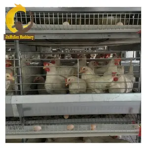 Jinmuren Poultry Breeding Equipment Layer Chicken Cage for Zimbabwe Market