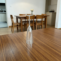 Gobelets en plastique PS transparents jetables KANGLI pour fête, verres à vin 6oz, verre à poudre argentée, style américain