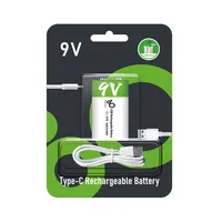 Panasonic — batterie Lithium-ion portable 9V, rechargeable, USB de Type C, Port de chargement, 650mAh, 6F22
