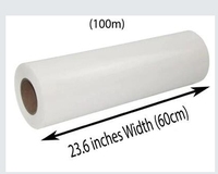 Film de transfert DTF en rouleau de 30, 33, 60 cm, pelable à chaud pour l'impression sur t-shirts et textiles