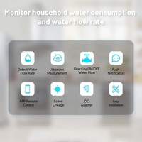 Neo Smart Home moderne ABS WiFi vanne d'eau contrôle minuterie Mobile télécommande interrupteur alimenté par batterie NAS-WV07W compteur d'eau consommation