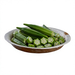 Premium Quality Disposable Biodegradable Eco-Friendly Areca Palm Leaf 25cm Deep Serving Plate Microwave Safe Food Grade Stocked - Product Image 5