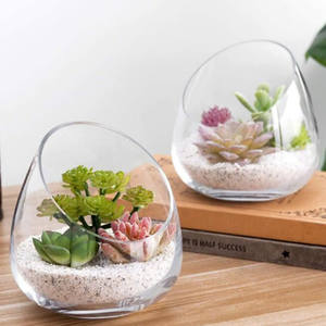 Mini terrario <span class=keywords><strong>per</strong></span> piante ad aria in vetro trasparente da 5 pollici <span class=keywords><strong>per</strong></span> vasi di piante succulente di <span class=keywords><strong>Cactus</strong></span> - Product Image 2