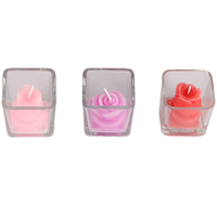 Bougie cactus de noël pour enfants, 10 pièces, ensemble cadeau, emballage pour petites attentions pour les bébés, livraison directe