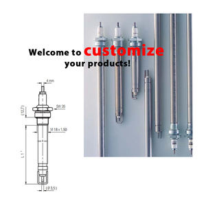 100602 OEM ODM gốm cách điện Đánh lửa điện cực dual-mục đích gas Burner tia lửa Đánh lửa điện cực ngọn lửa cảm biến - Product Image 3