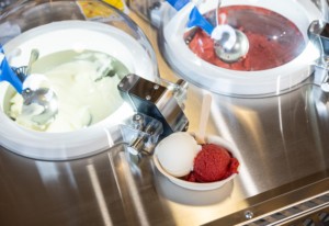 Miles 2 Flavors Approved Distributeur Automatique de Gelato Dur, Chariot Mobile d'Extérieur pour Glaces, Chocolat, Noix, Lait/Yogourt - Product Image 5