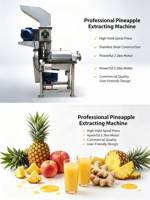 Extracteur de jus à froid haute performance pour fruits et légumes, machine à presser l'ananas, extracteur de jus de pomme, pastèque, gingembre