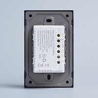 118*75mm électrique Wifi tactile interrupteur blanc noir panneau de verre Apple Homekit Tuya Google Alexa 2 Gang interrupteur intelligent
