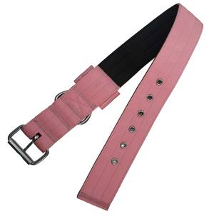 Collier pour chien rose robuste avec doublure rembourrée douce, boucle à ardillon pour chiens de taille moyenne et grande, nylon durable et quincaillerie métallique - Product Image 2