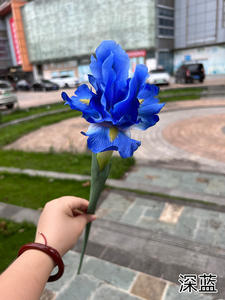 EW rival rrival Colorful Artifcial arden lice ends Pend ucucket Fo Wedding ececoration ililk Flowers - Product Image 5